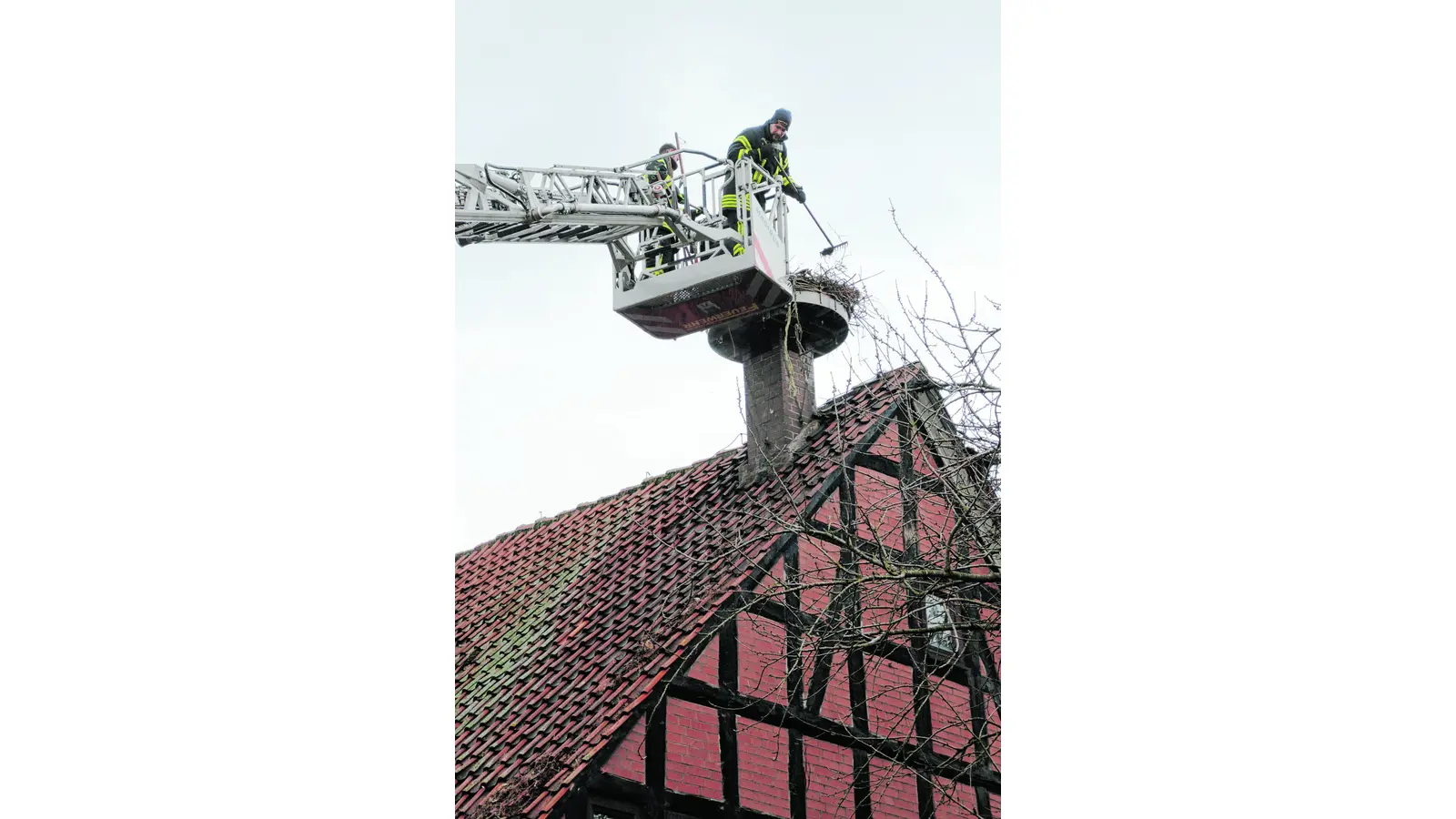 Störche können einfliegen (Foto: gi)