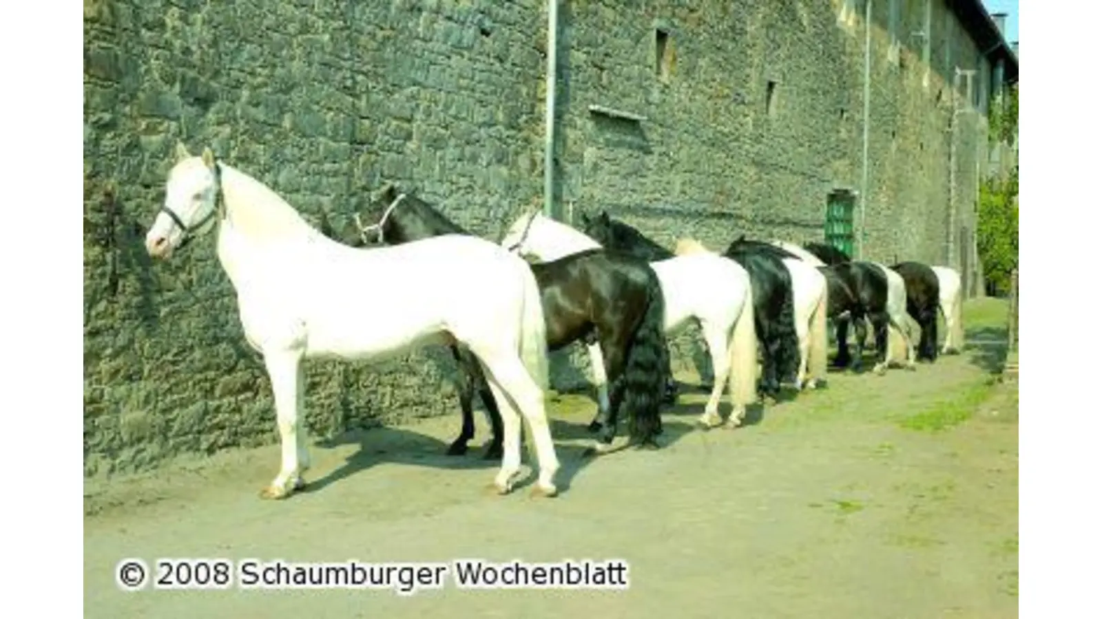 Die Fürstliche Hofreitschule setzt neuen Meilenstein (Foto: hb)