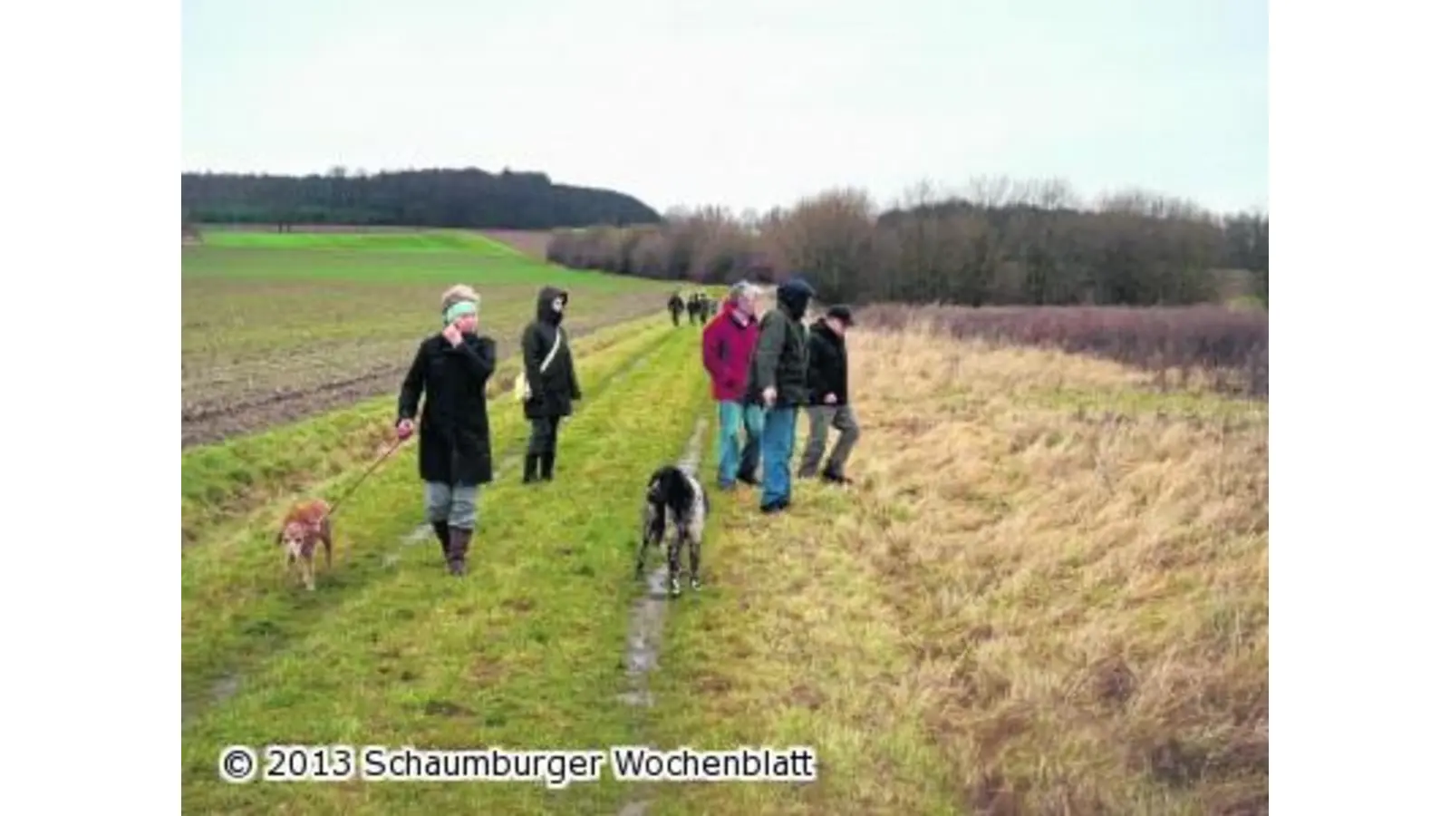 NABU-Schnatgang (Foto: gi)