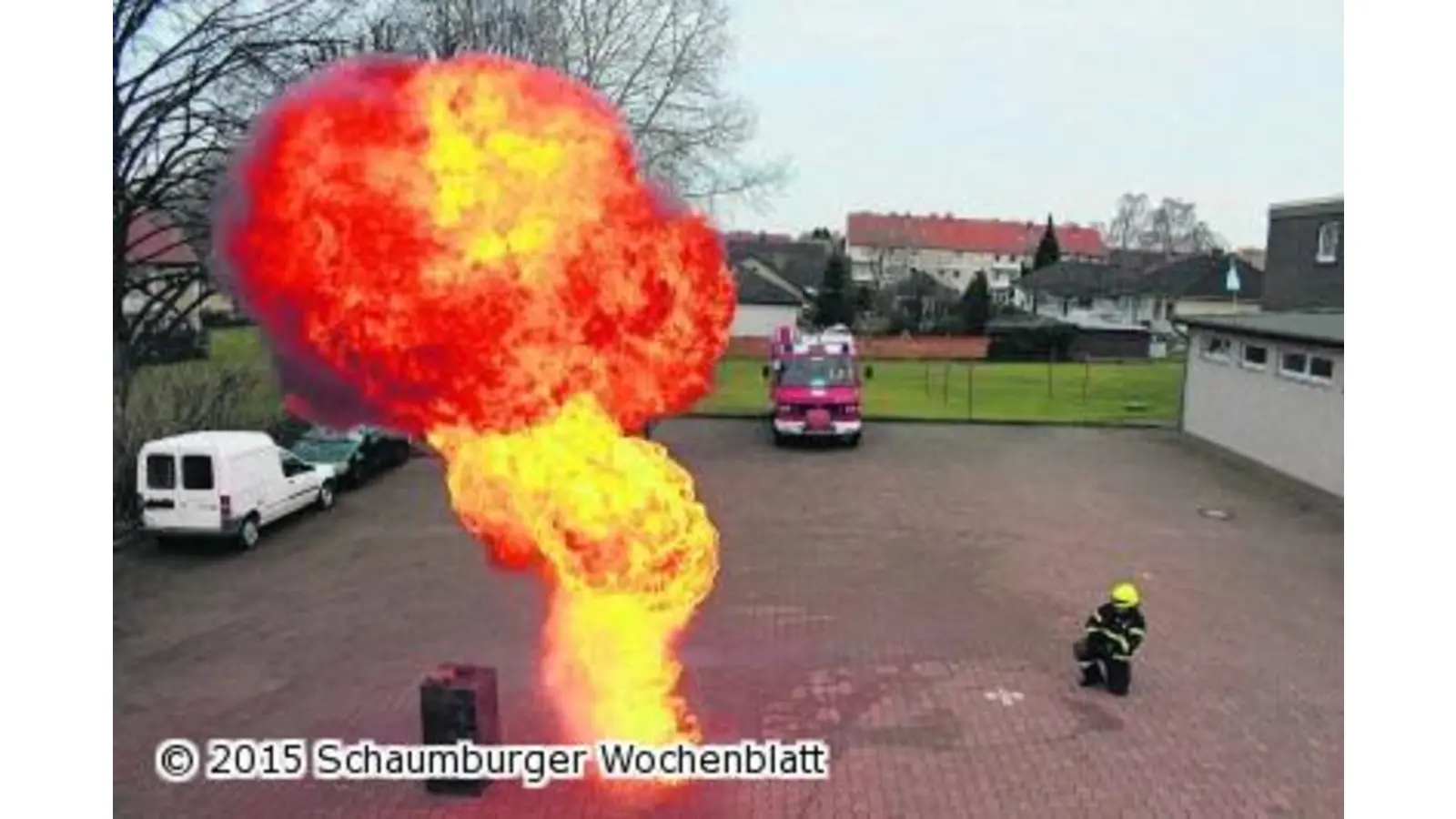 Leuchtende Augen bei den Feuerfüchsen (Foto: em)