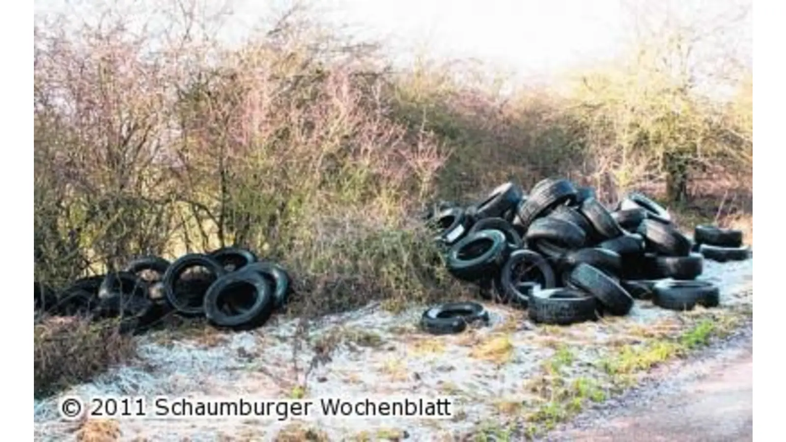 LKW-Reifen einfach auf einem Wegesrand entsorgt (Foto: tt)