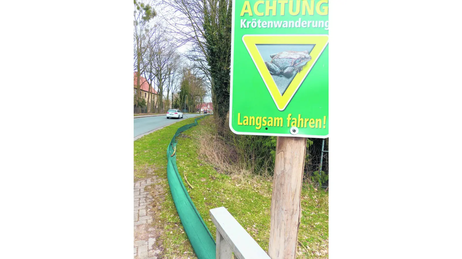 Neue Hilfe für Schwalben und Mauersegler (Foto: al)