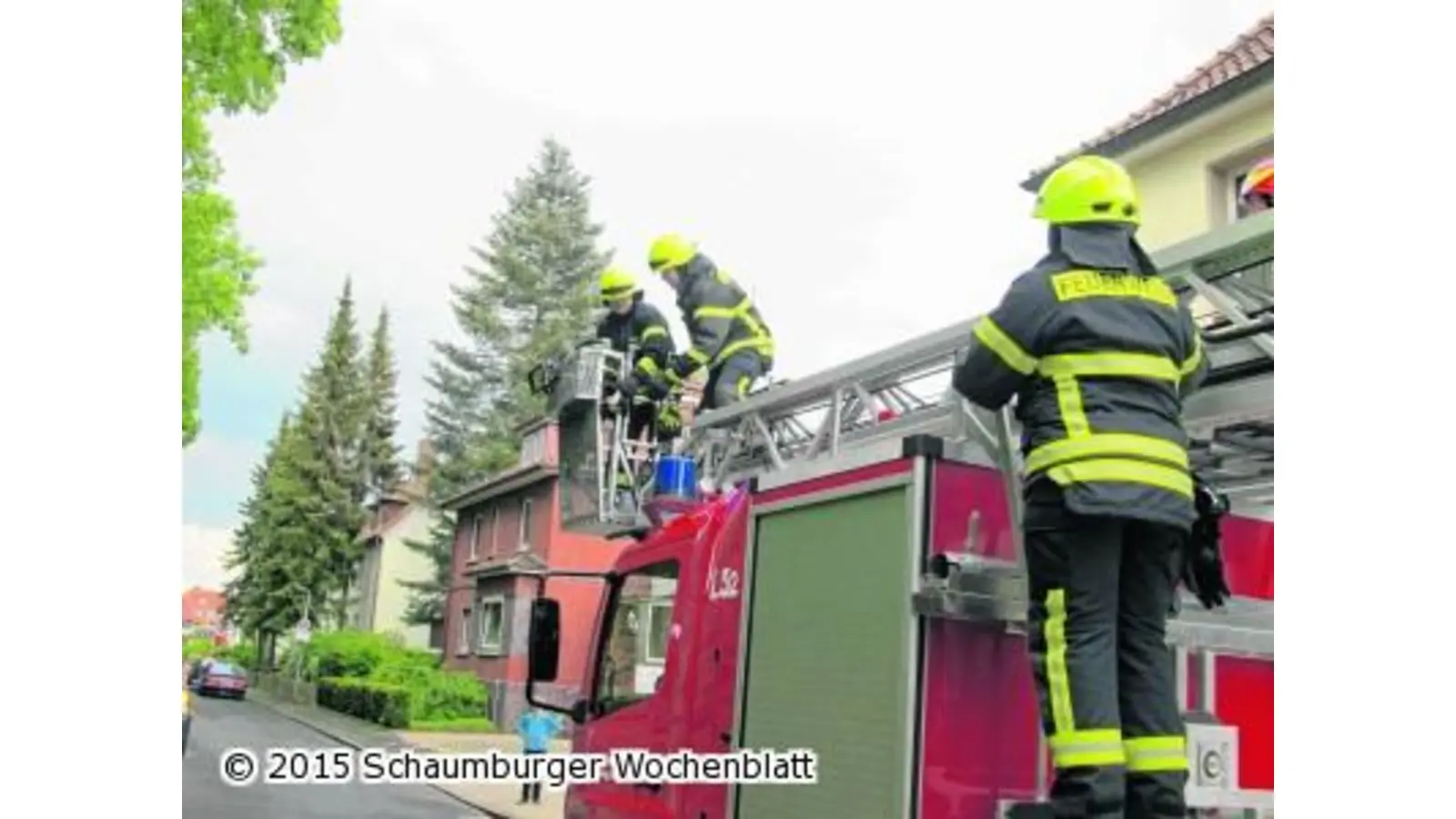 Feuerwehr rettet Katze vor Krähen (Foto: em)