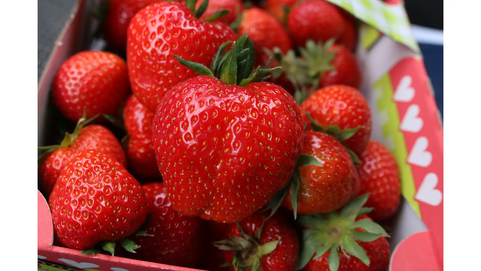 Erdbeeren sind gesund, lassen sich aber nicht lange lagern. <br><br> (Foto: bb)
