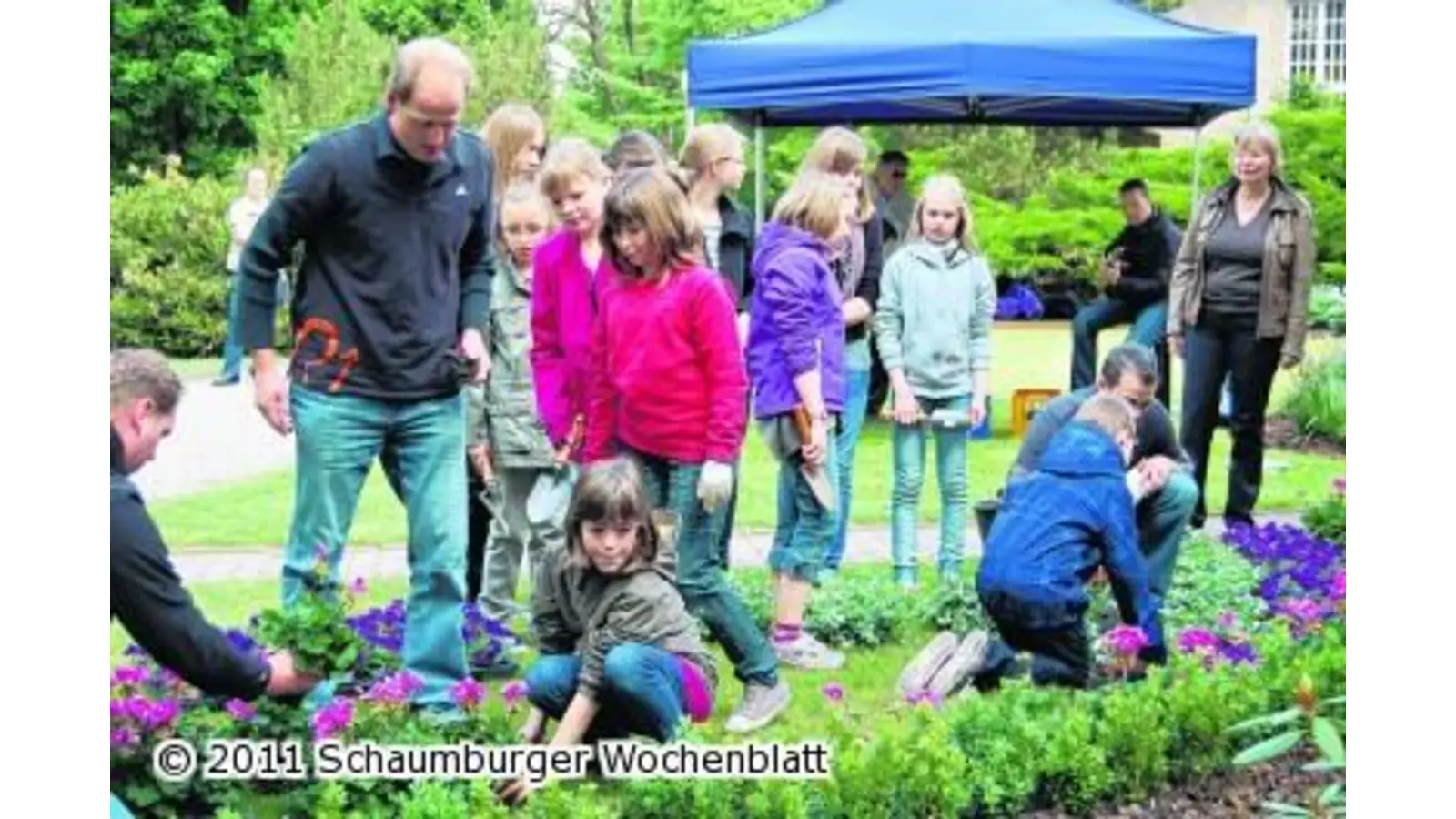 Regenbogenfarben leuchten auf Gräbern (Foto: ste)