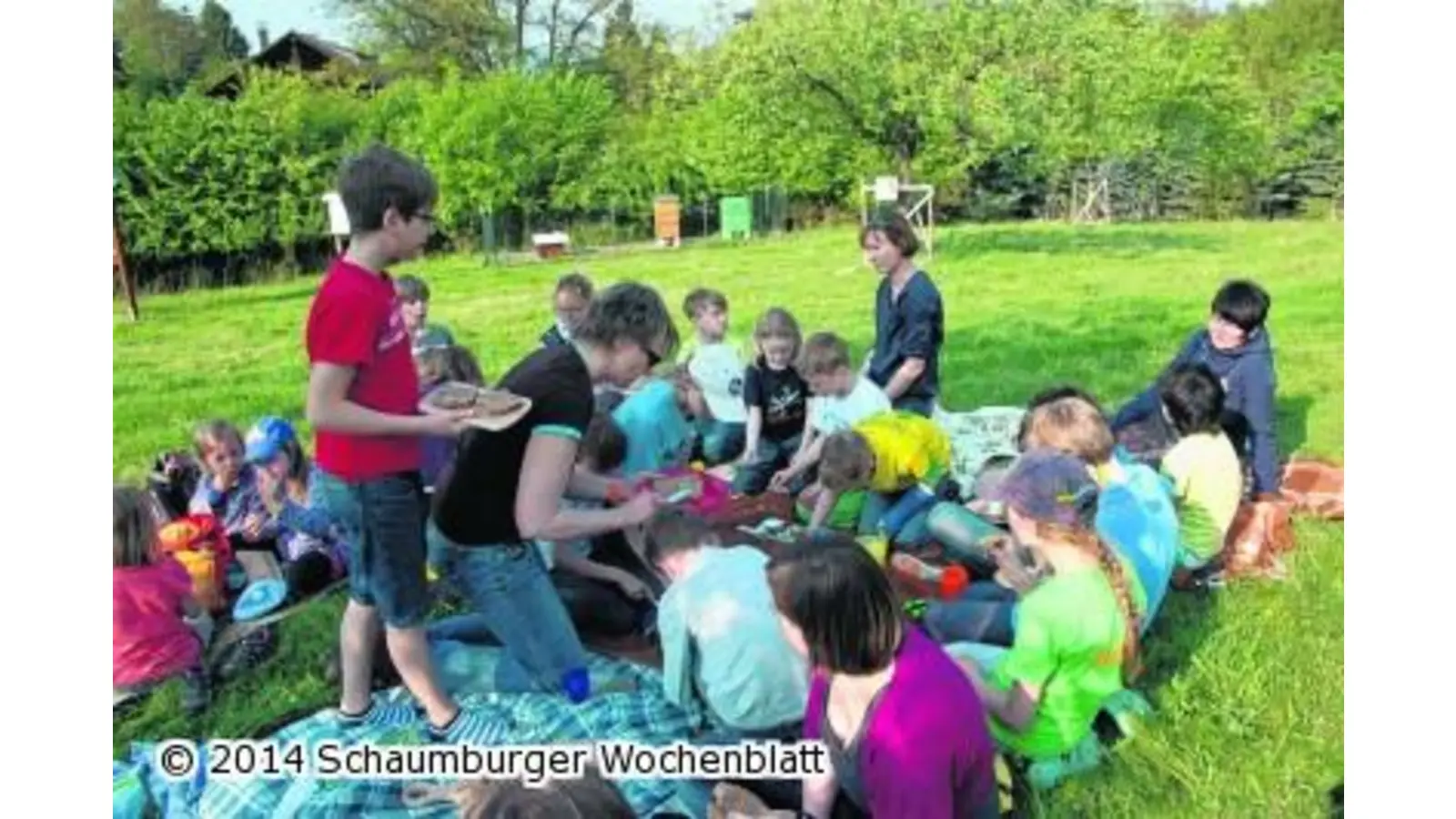 Auf enger Tuchfühlung mit Bärlauch und Waldmeister (Foto: ste)
