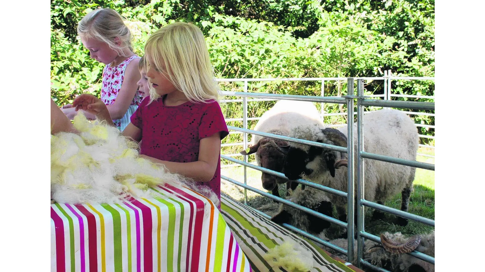 Wohngemeinschaft bis zur Auswilderung (Foto: pp)