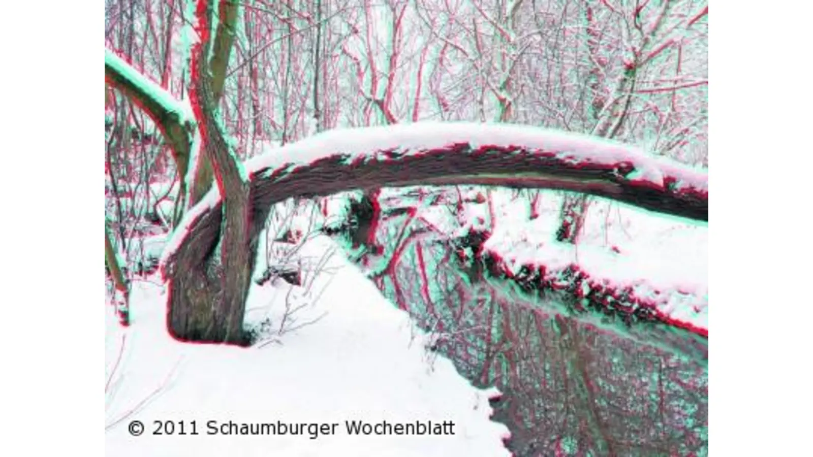 Immer ganz neue Perspektiven entdecken (Foto: jl)