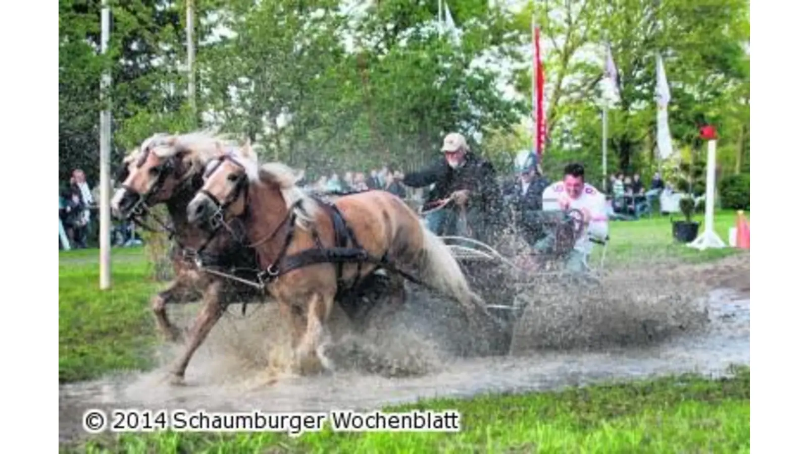 Mit Pferdestärken ab durchs Wasserhindernis (Foto: tr)