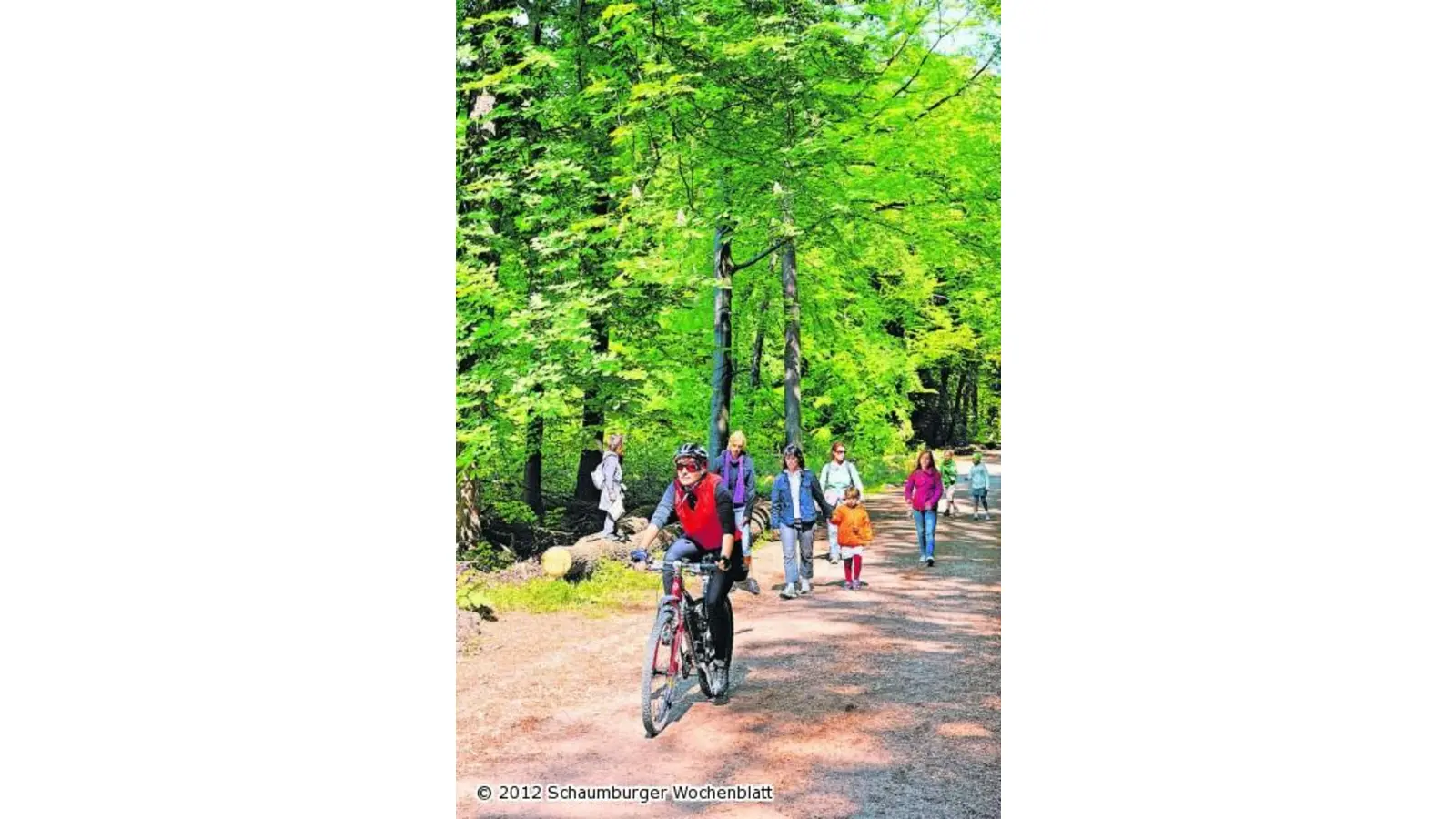 Der Deister macht Lust auf Wandern (Foto: wa)