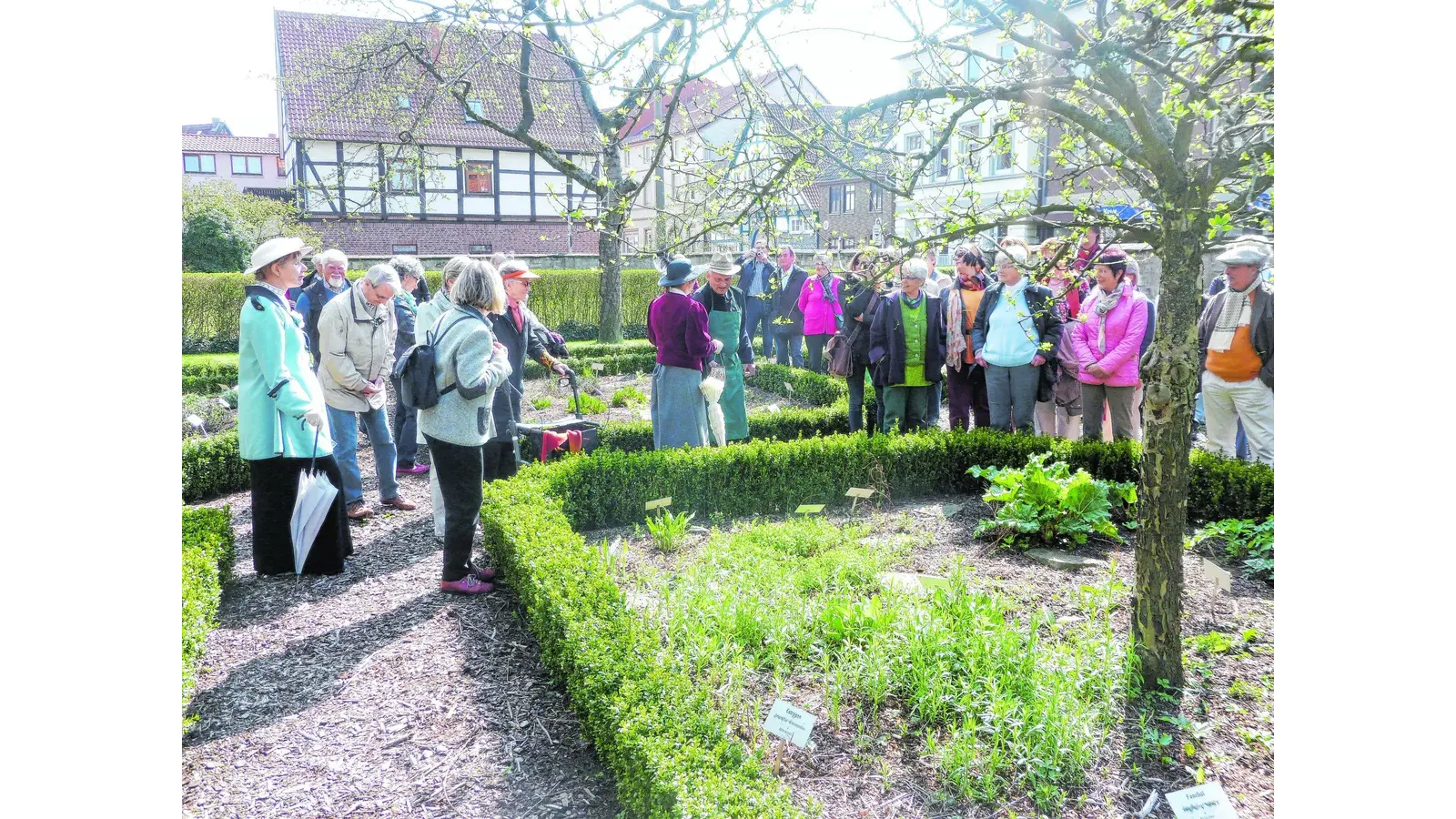 Stadthagen bietet Gästeführerausbildung an (Foto: di)