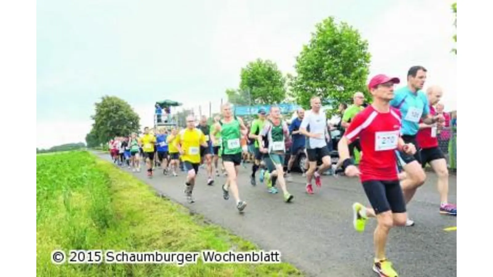 Volkslauf durch die bunten Felder (Foto: em)