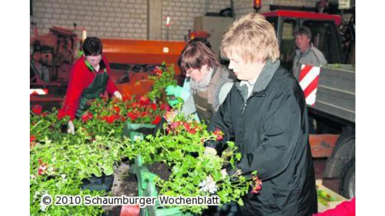 Die Pflanzenfreunde sollen sich ganz besonders ins Zeug legen (Foto: bb)