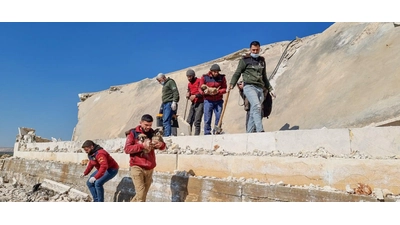 Wie man betroffenen Tieren helfen kann. (Foto: House Of Cats Ernesto)