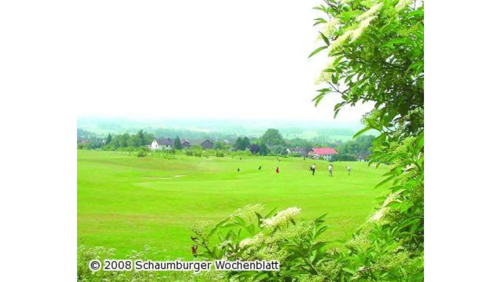 Golfer pflanzen wieder heimische Gewächse (Foto: ro)