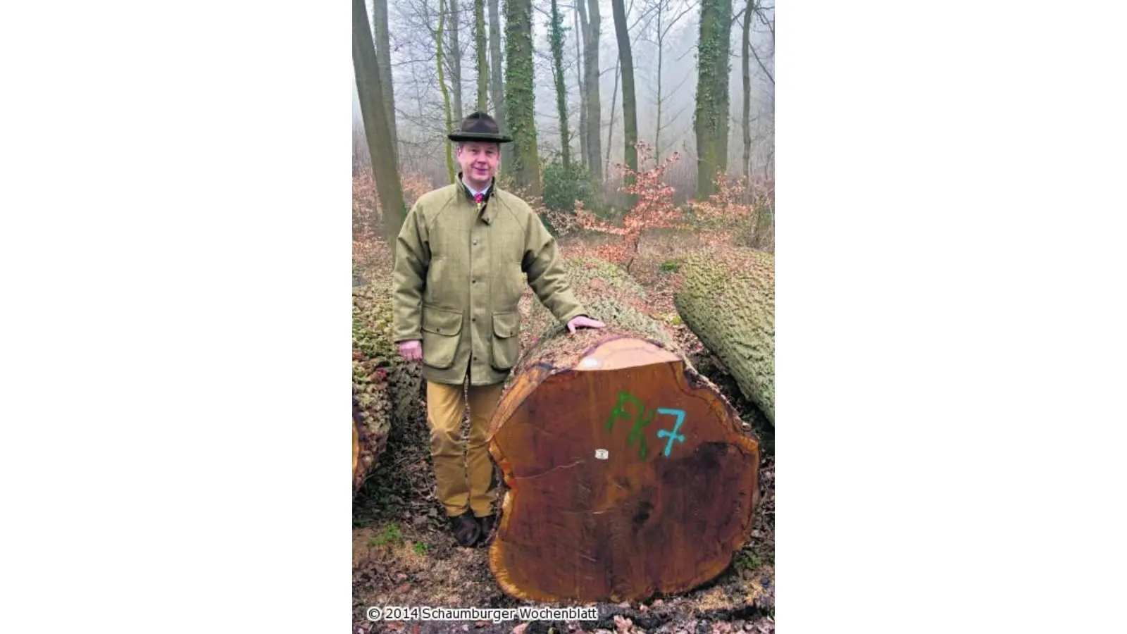 Das Schaufenster der Top-Produkte (Foto: wa)