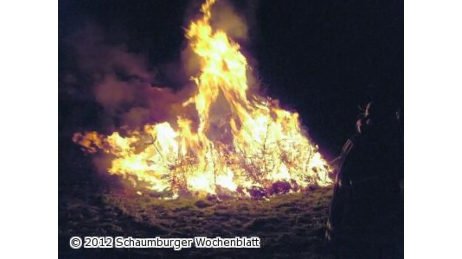 Jugendfeuerwehr sammelt Tannen (Foto: red)