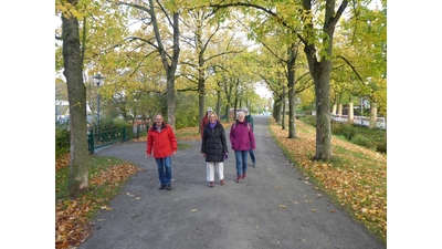 Jeden Montagmorgen treffen sich Senioren zum gemeinsamen Spaziergang mit Schülern.  (Foto: privat)