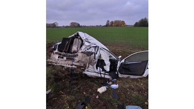 Das Fahrzeug wurde völlig zerstört. (Foto: privat)