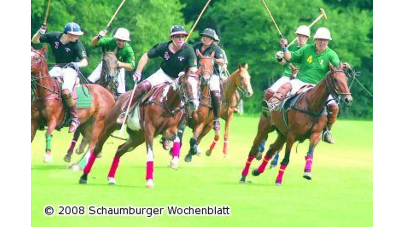 Auf zum großen Polo-Turnier (Foto: red)