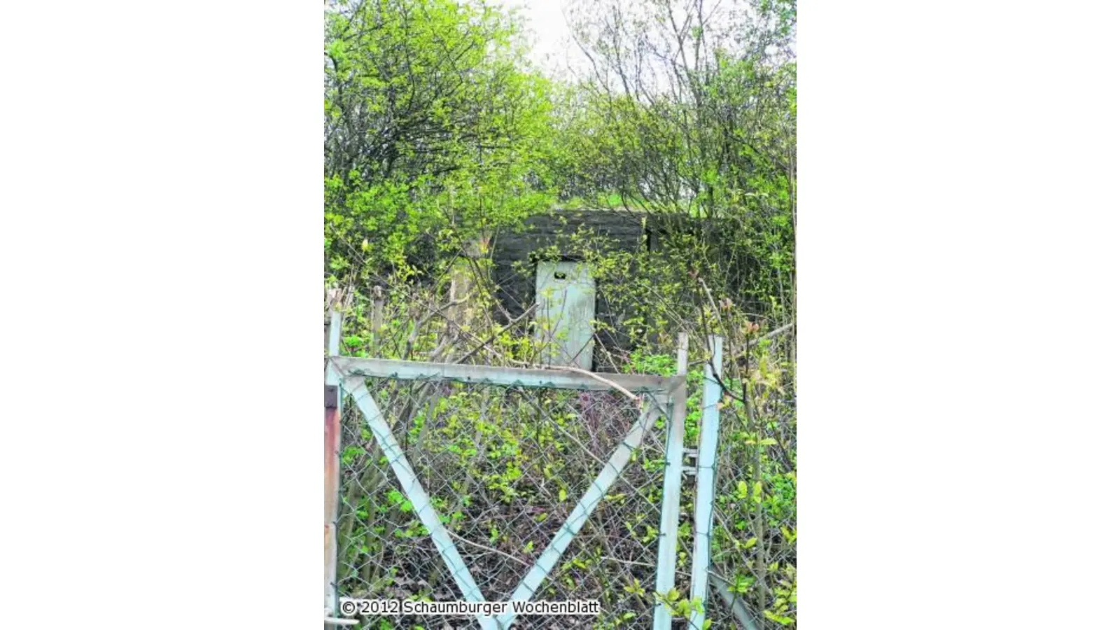 Nabu fordert mehr Einsatz für die Aue (Foto: al)
