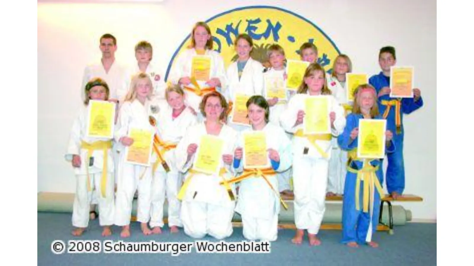 Neue Gurtfarben für die jungen Judokas (Foto: al)