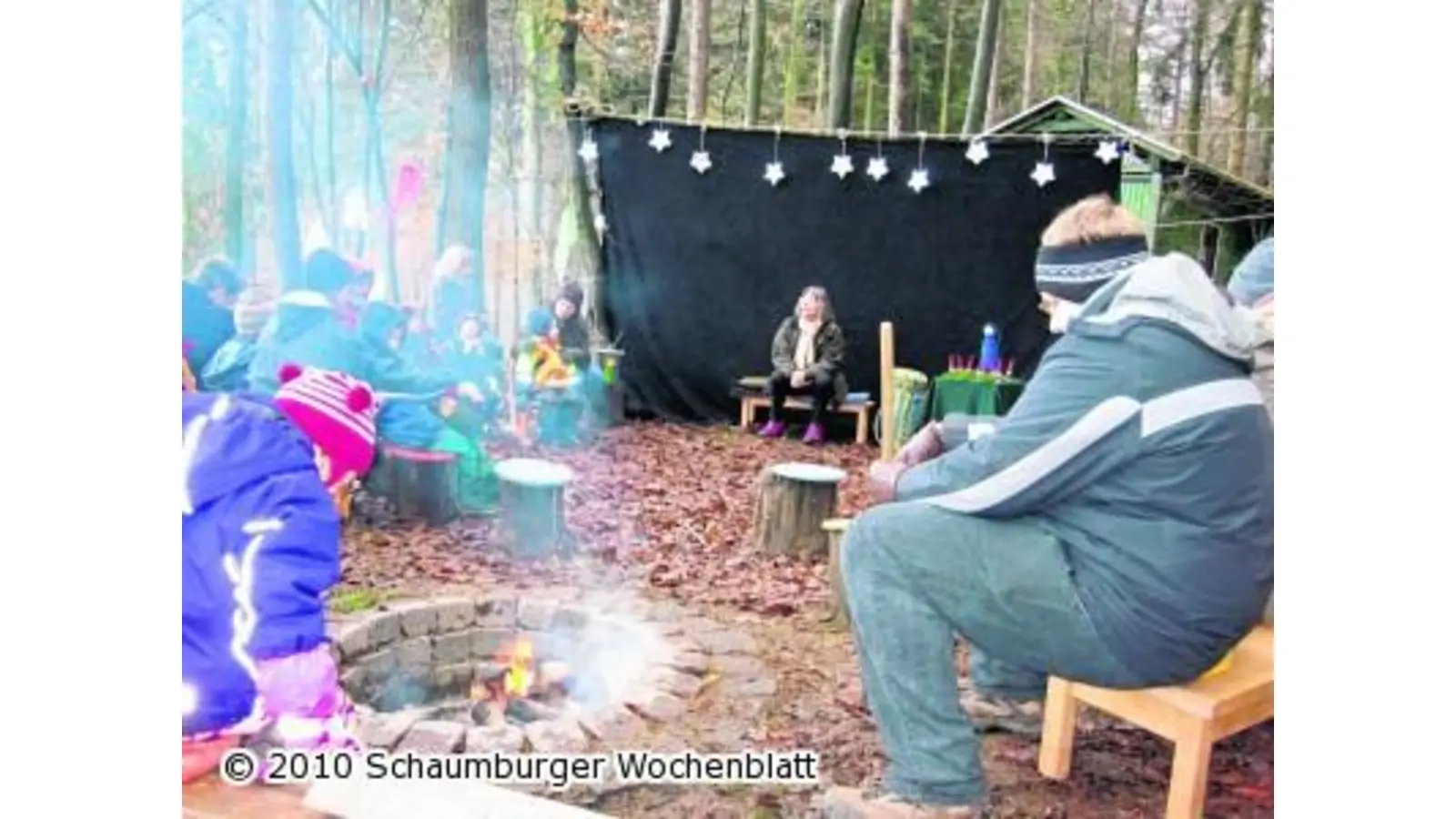 Der Wald birgt viele Märchen (Foto: red)