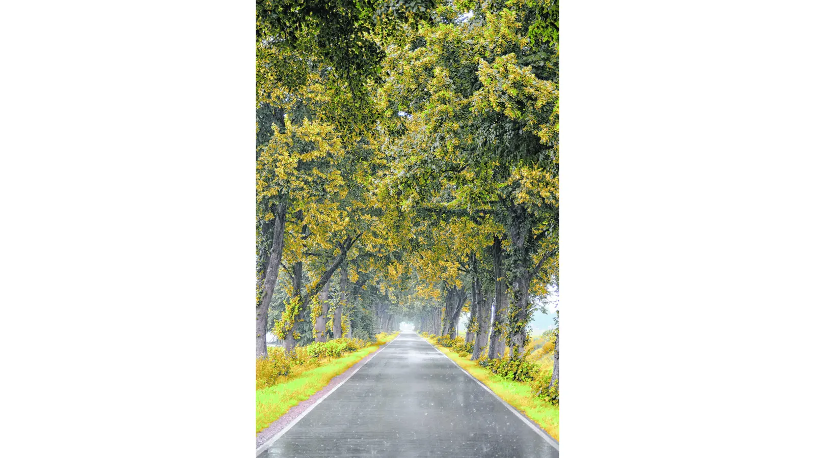 Unnötige Unfälle vermeiden (Foto: mk)