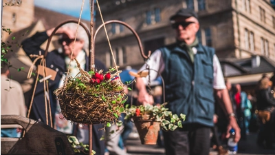 Der Herbstmarkt lockt nach Hameln. (Foto: Hameln Marketing)
