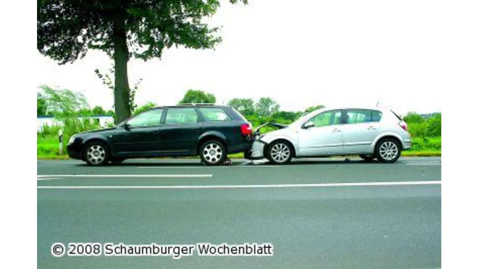 Durch Insekt abgelenkt (Foto: ih)