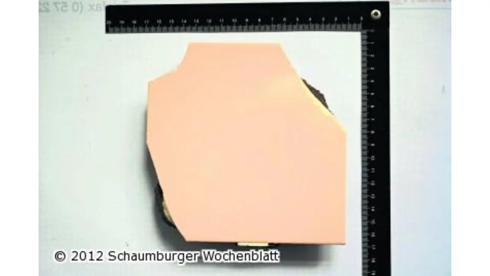 Polizei sucht Zeugenhinweise (Foto: red)