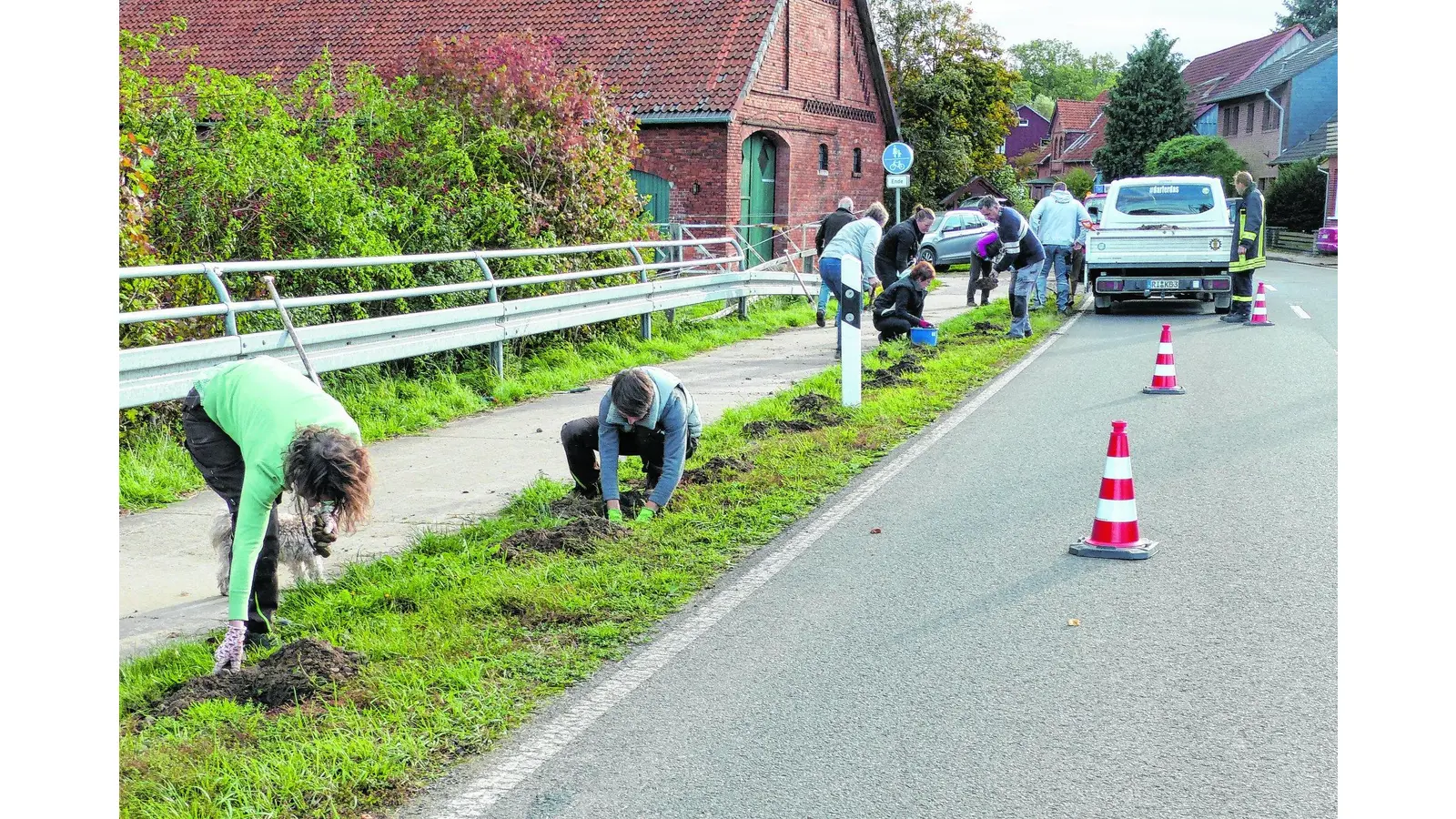 Im Frühjahr sollen auch Tulpen blühen (Foto: red)