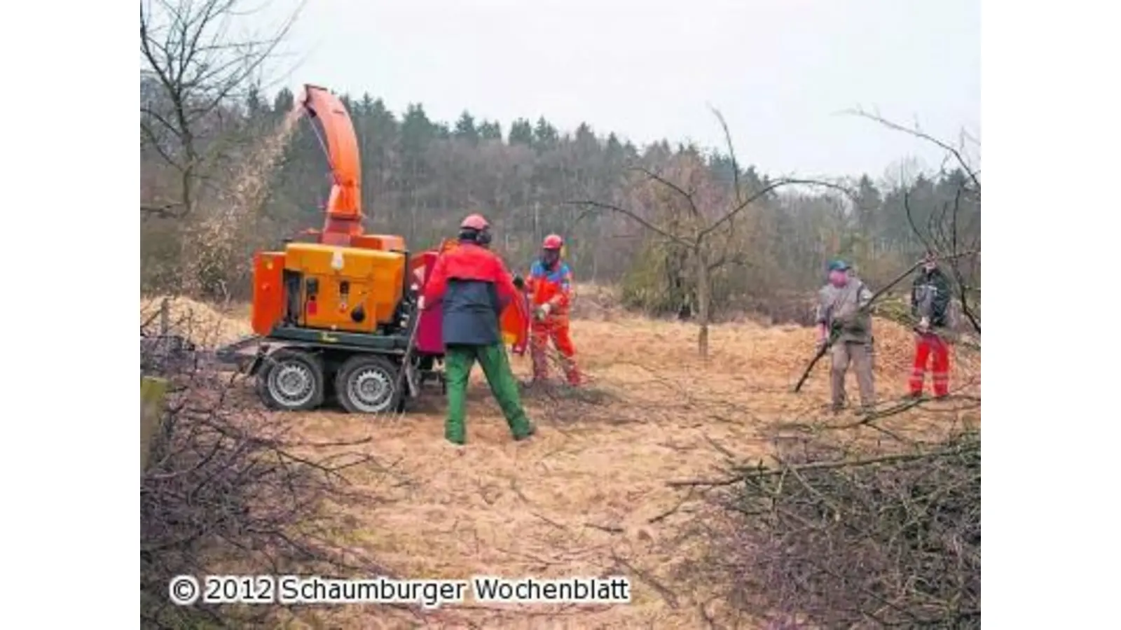 Mehr Sonnenlicht für die alten Obstbäume (Foto: ste)