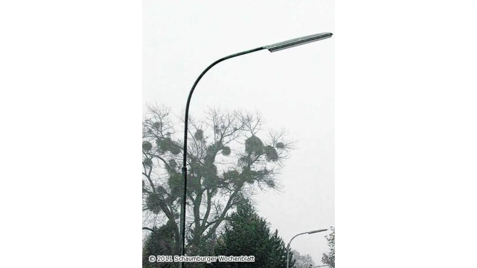 Gemeinde investiert in ihre Straßenbeleuchtung (Foto: red)