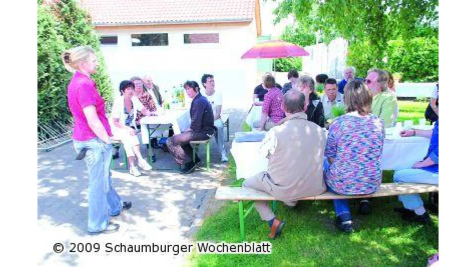 Tierschützer plädieren für Katzenkastrationsverordnungen (Foto: hb)
