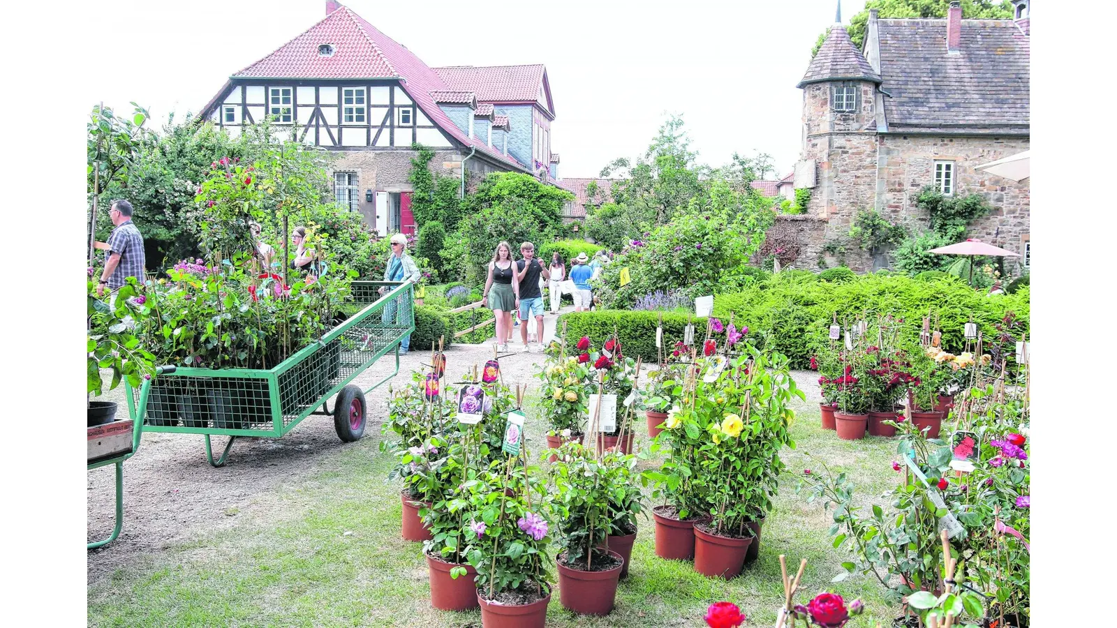 Entspannt durch die Parklandschaft flanieren (Foto: bb)