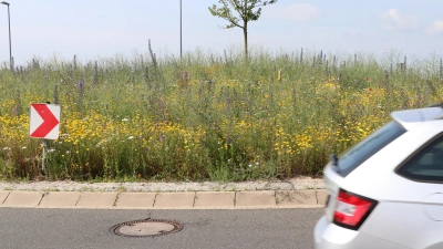 Der Hanisch-Kreisel sieht nicht nur schön aus, sondern bietet einen Lebensraum für Bienen und andere Insekten.  (Foto: gi)