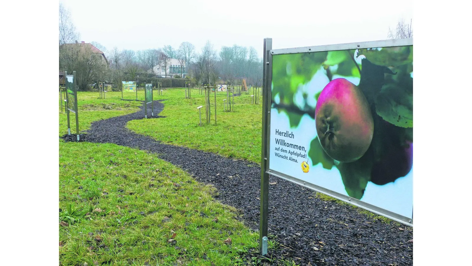 Heimatfreunde denken an eigenen Apfelsaft (Foto: red)