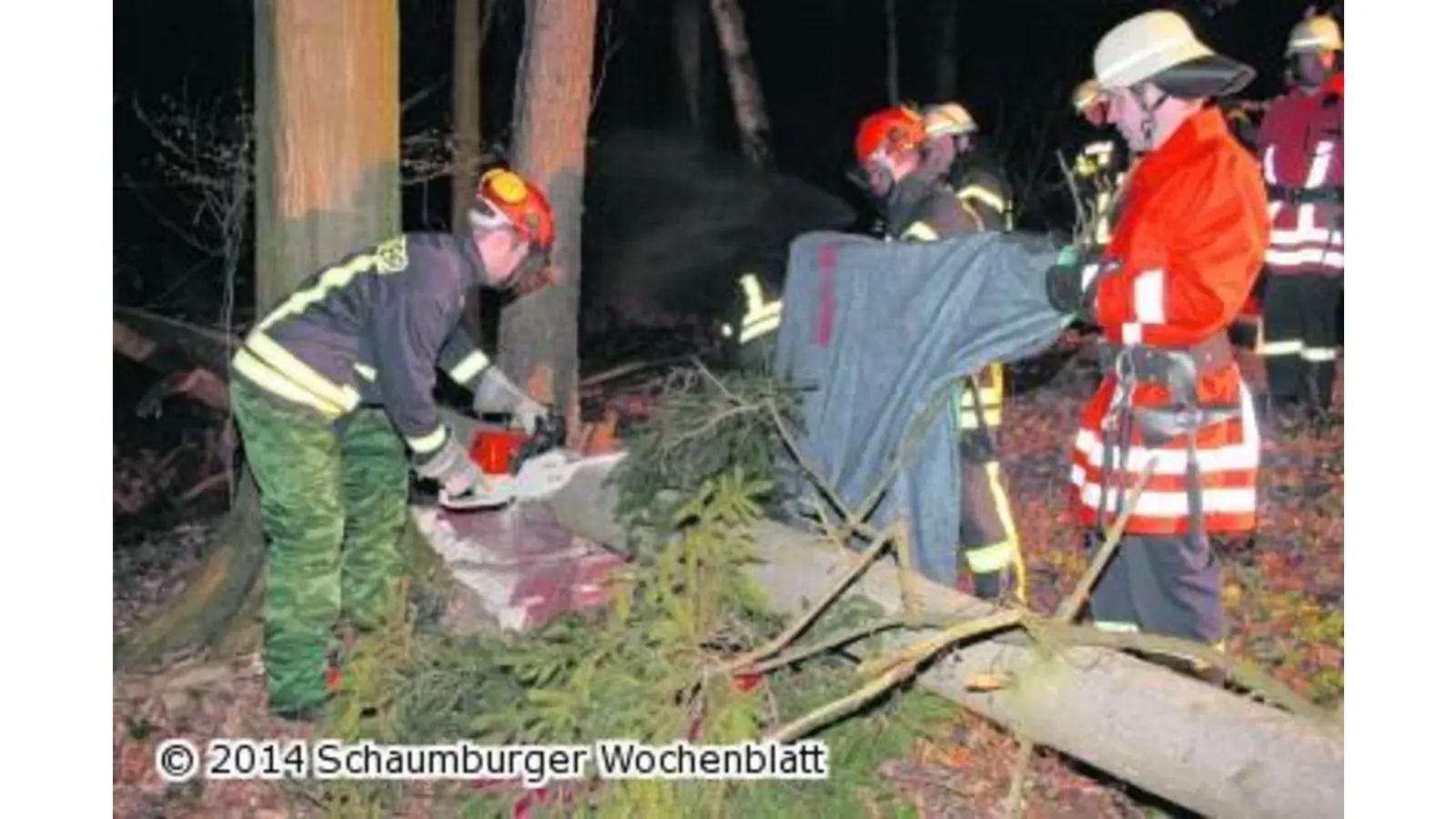 Verunglückter Waldarbeiter gerettet (Foto: red)