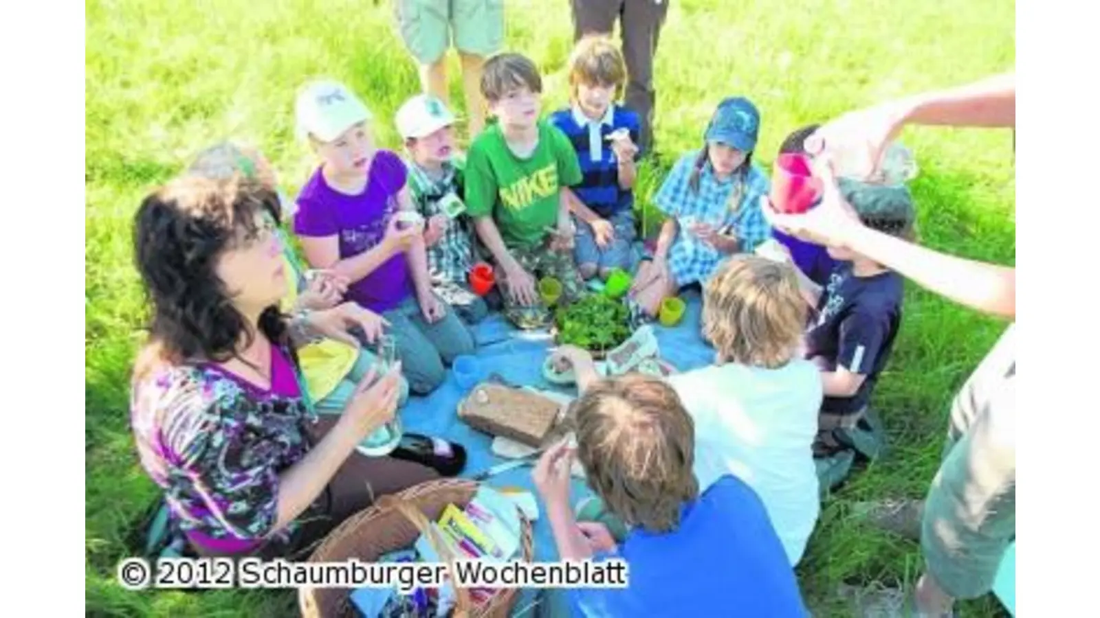 Bärlauch wächst nicht im Supermarkt (Foto: ste)
