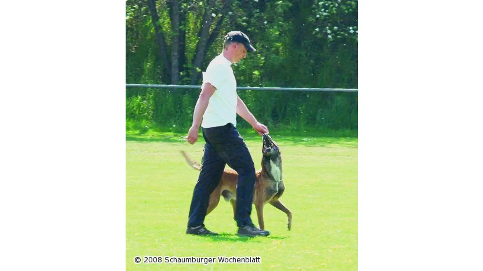 Beste Gebrauchshunde werden ermittelt (Foto: ro)
