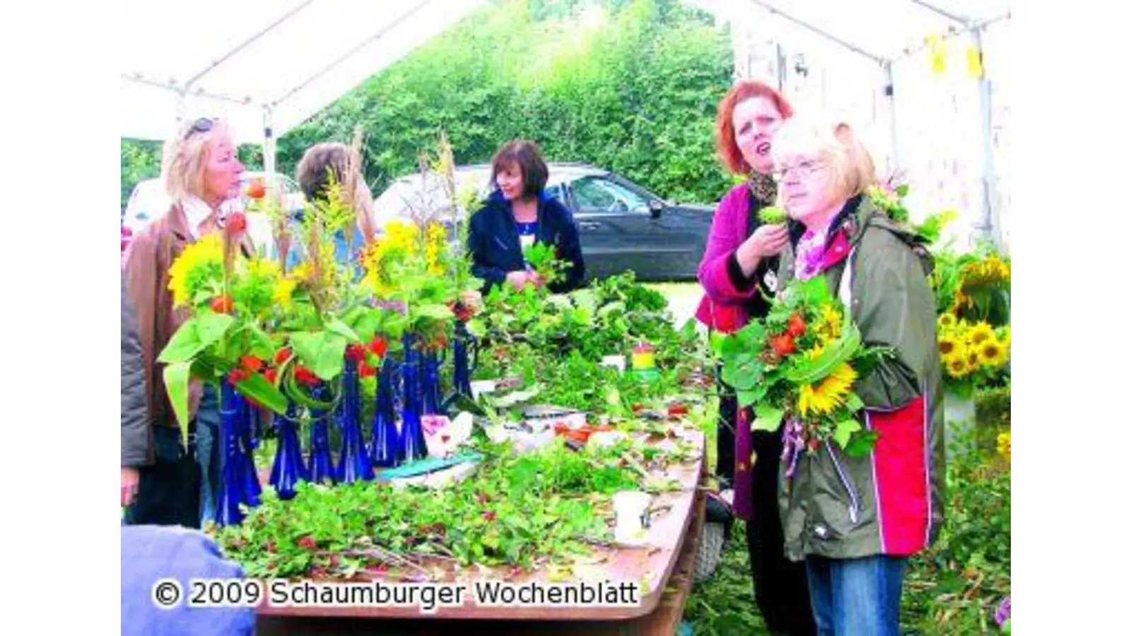 Große gelbe Blüten üben eine magische Anziehungskraft aus (Foto: km)