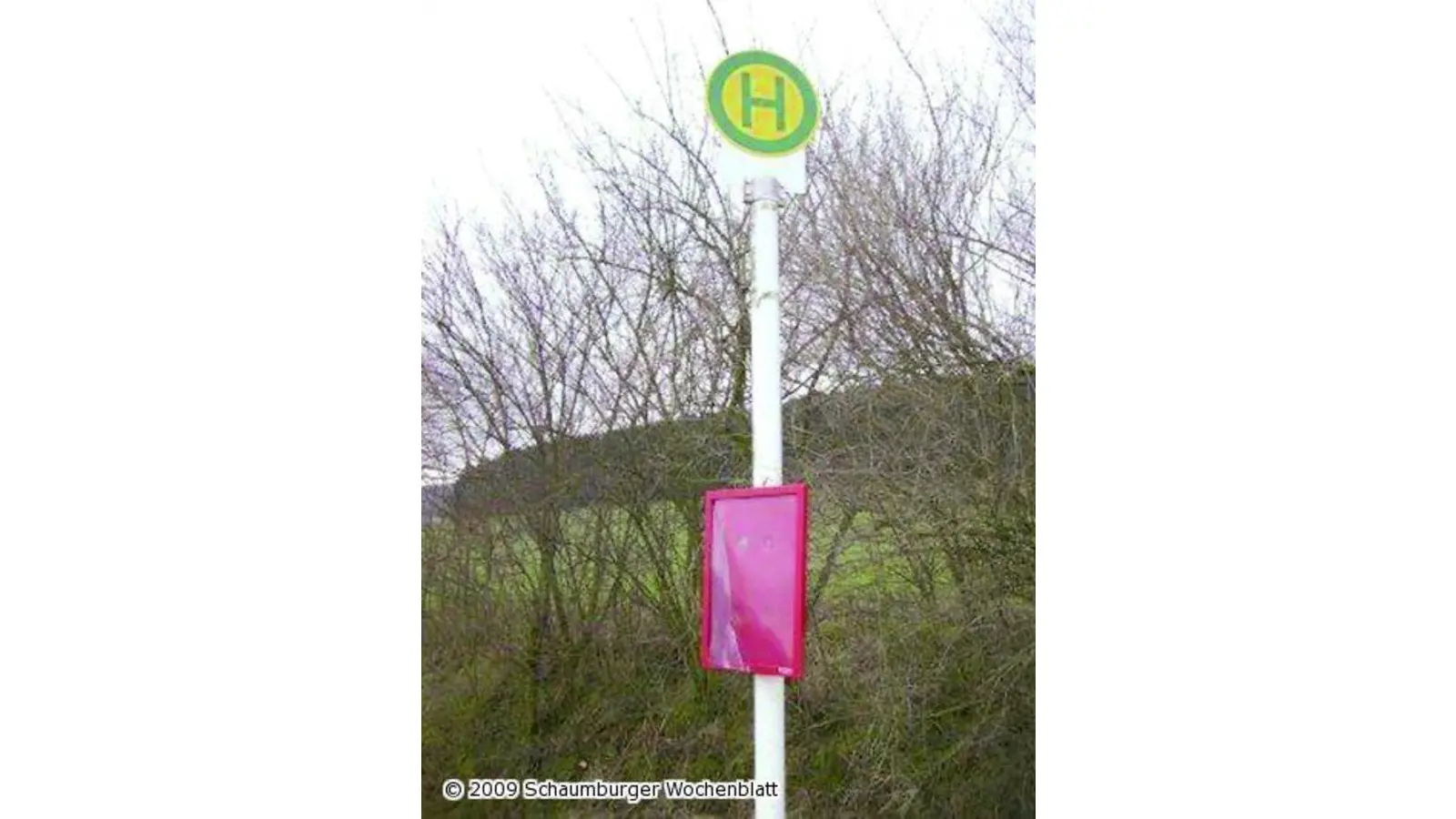 Vandalismus auf der Dorfstraße in Luhden (Foto: red)