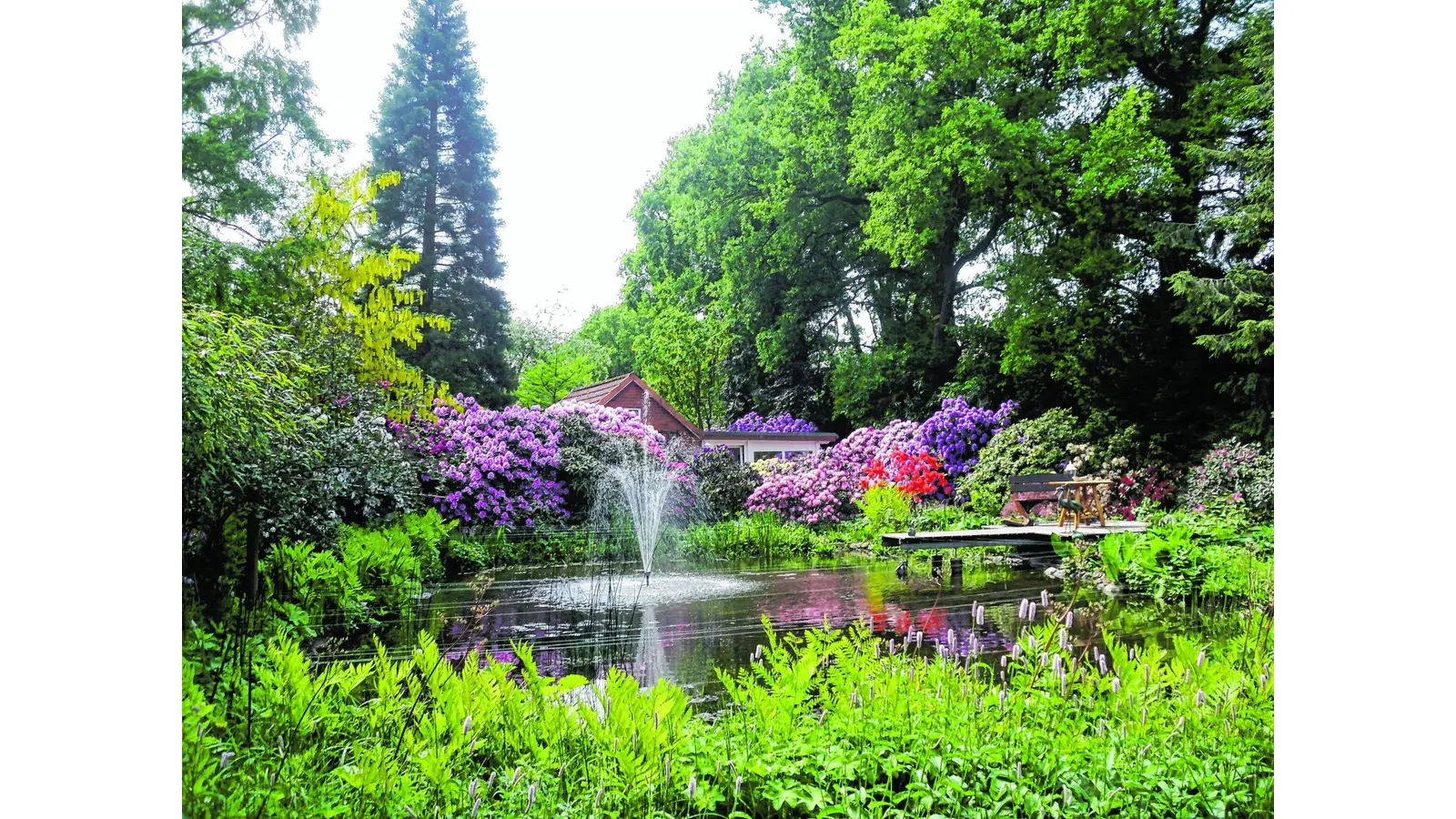 Im Grünen die Seele baumeln lassen (Foto: jk)