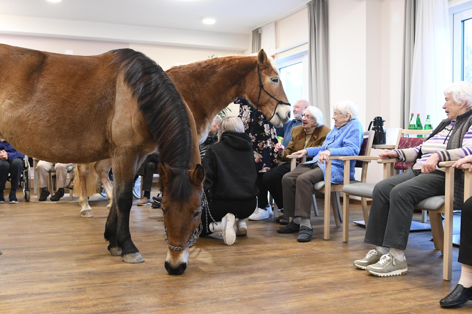 Pony Wega und Nele Plaßmeier (Foto: nd)