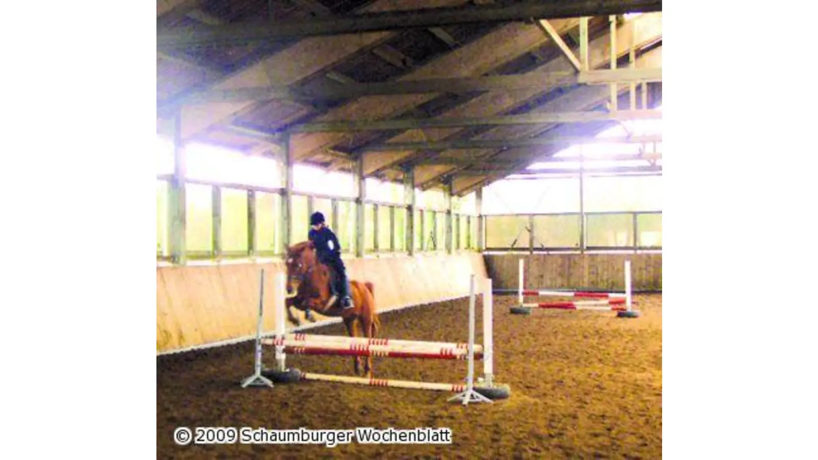 Gefühlvollen Umgang mit Pferden lernen (Foto: mk)