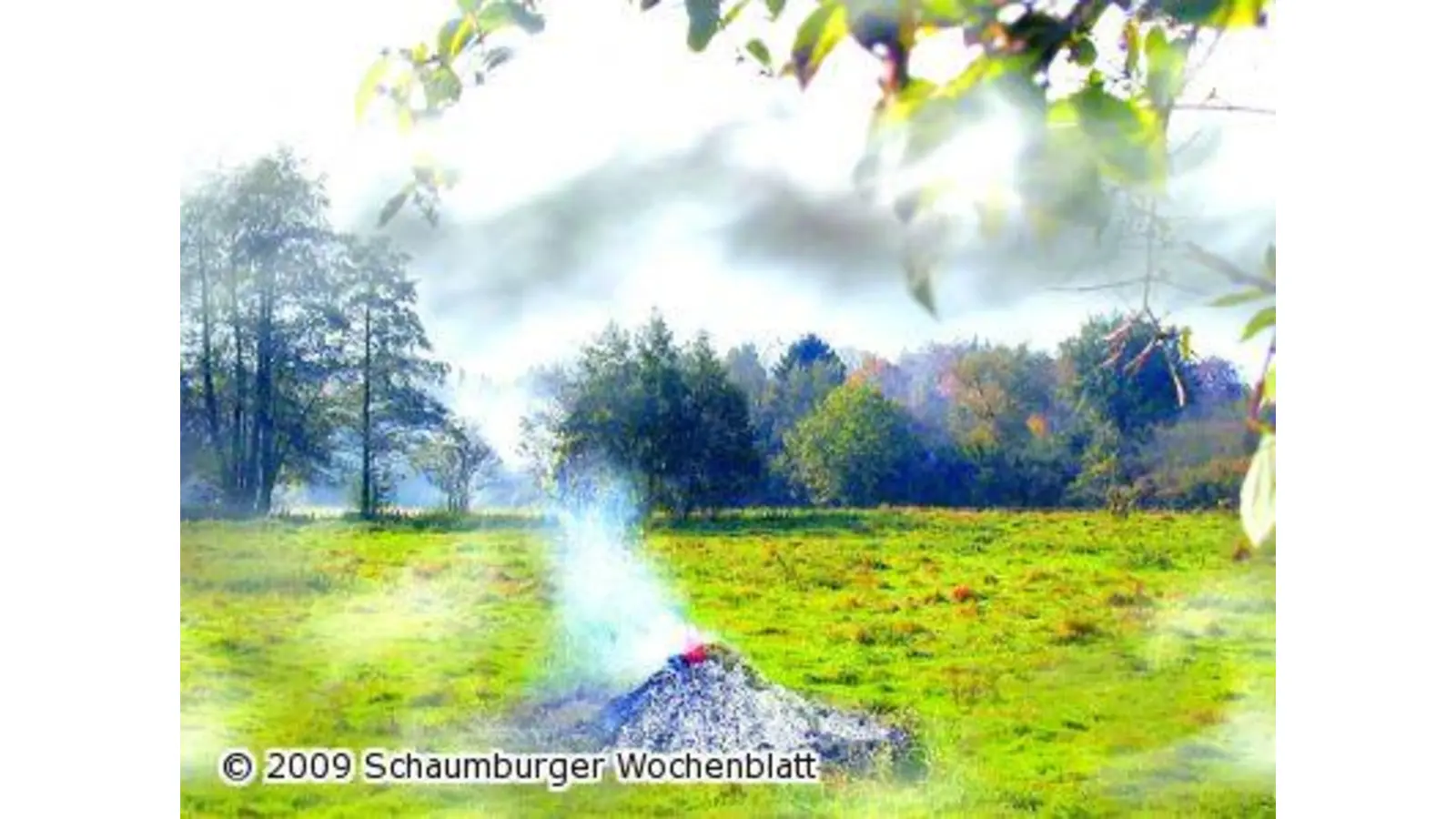 Osterfeuer als eine Todesfalle für Tiere (Foto: km)