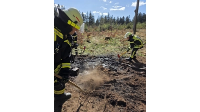 Das war knapp im Deister, ein Brand konnte gerade noch gelöscht werden. (Foto: Feuerwehr)