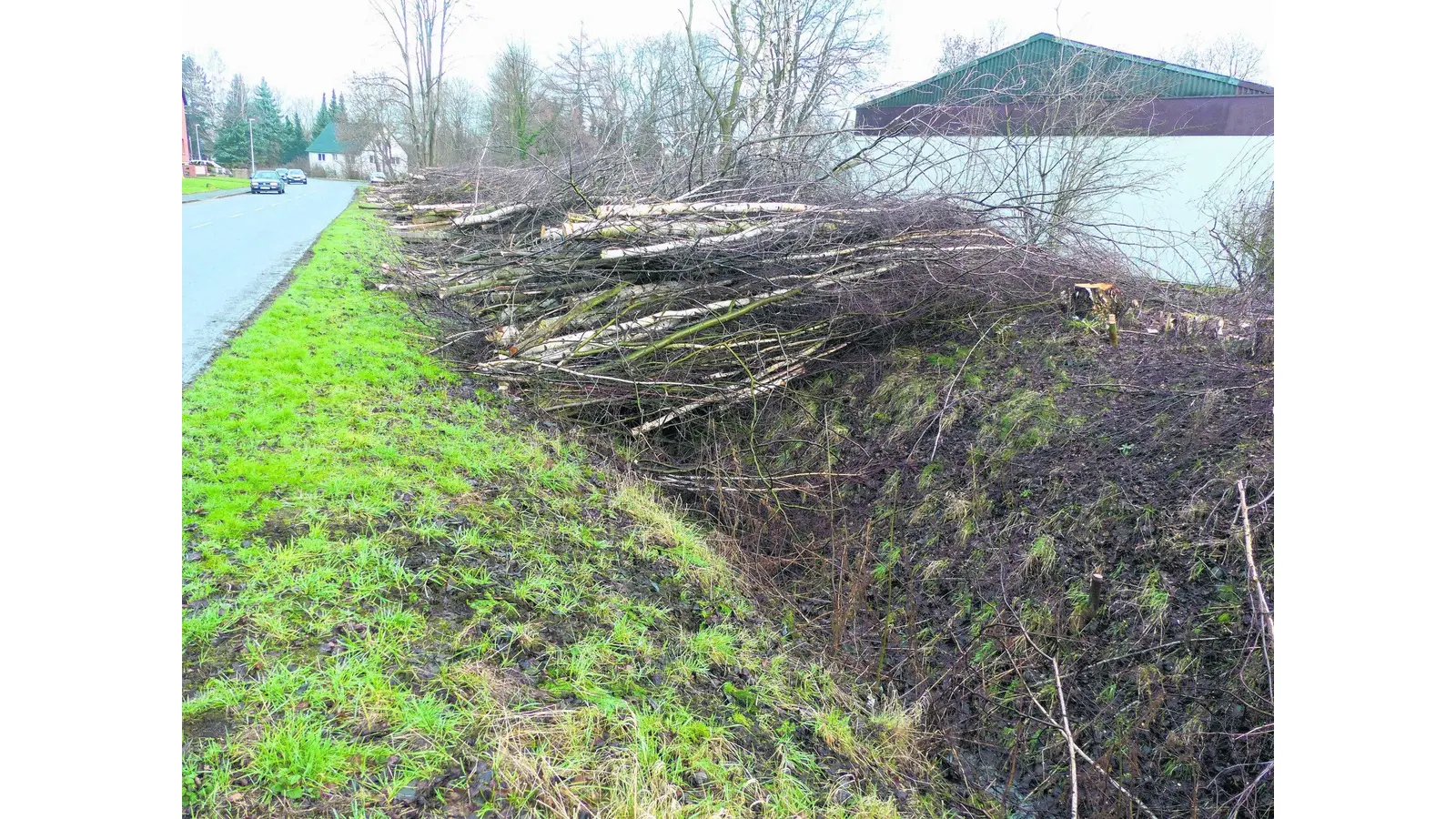 Kahlschlag am alten Bahndamm (Foto: al)