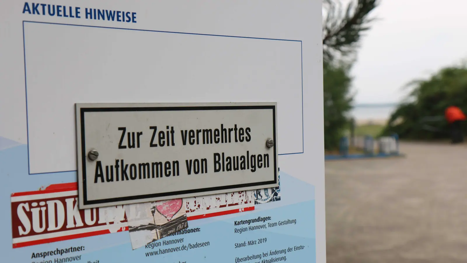 Warnhinweis: Zurzeit breiten sich die Blaualgen an den Badestellen des Steinhuder Meeres wieder aus. (Archivbild: tau)
